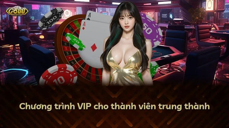 Chương trình VIP cho thành viên trung thành
