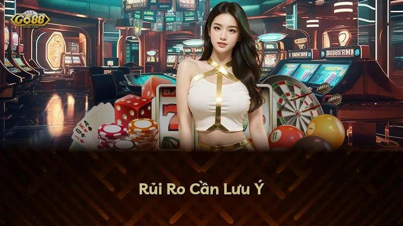 Rủi Ro Cần Lưu Ý